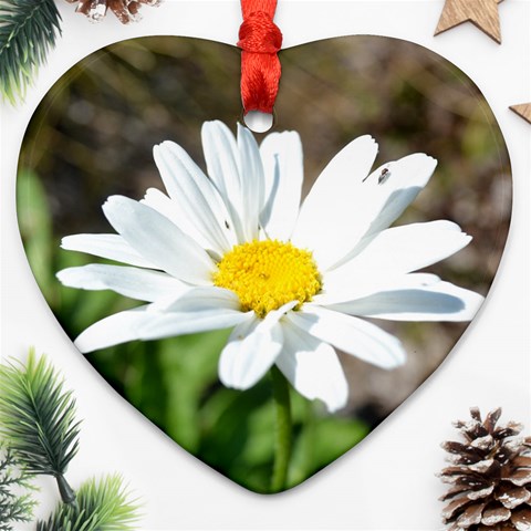 Daisy Heart Ornament (Two Sides) from ArtsNow.com Front