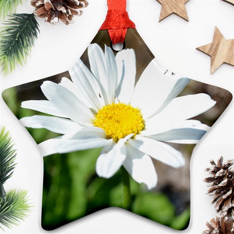 Daisy Star Ornament (Two Sides) from ArtsNow.com Front