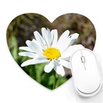 Daisy Mousepad (Heart)