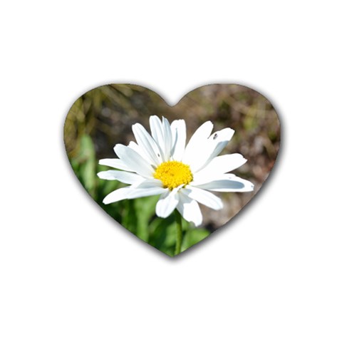 Daisy Heart Coaster (4 pack) from ArtsNow.com Front
