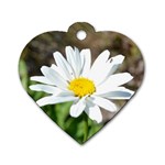 Daisy Dog Tag Heart (One Side)