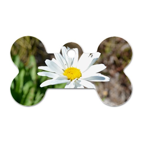 Daisy Dog Tag Bone (One Side) from ArtsNow.com Front