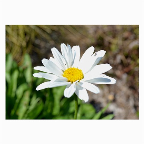 Daisy Glasses Cloth (Large, Two Sides) from ArtsNow.com Front