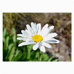Daisy Glasses Cloth (Large, Two Sides) from ArtsNow.com Back