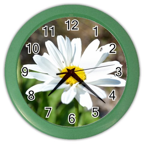 Daisy Color Wall Clock from ArtsNow.com Front