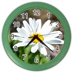 Daisy Color Wall Clock