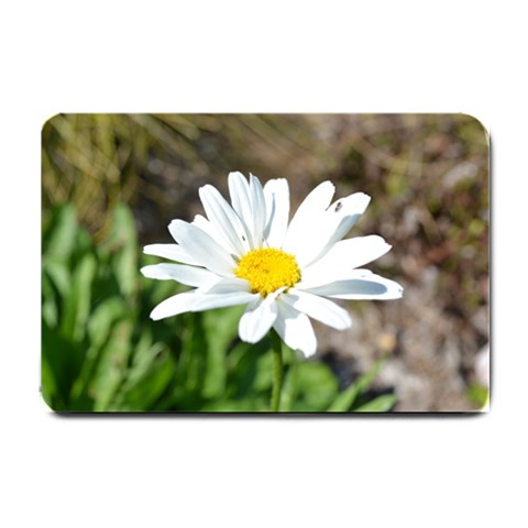 Daisy Small Doormat from ArtsNow.com 24 x16  Door Mat