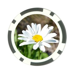 Daisy Poker Chip Card Guard (10 pack) from ArtsNow.com Back