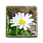 Daisy Memory Card Reader with Storage (Square)