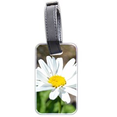 Daisy Luggage Tag (two sides) from ArtsNow.com Back