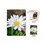 Daisy Playing Cards (Mini)