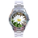 Daisy Stainless Steel Analogue Men’s Watch