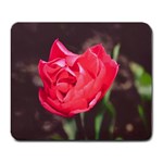 Red flower Large Mousepad