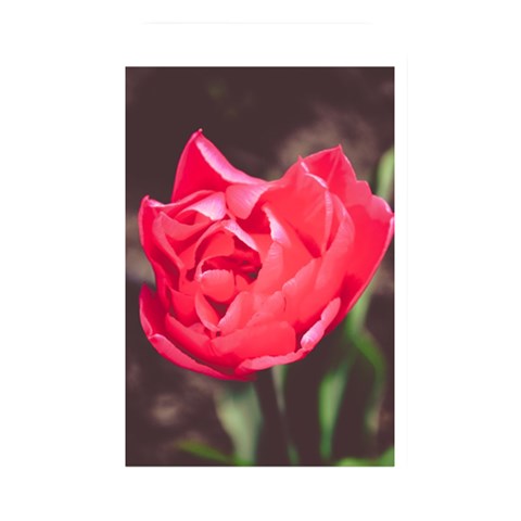 Red flower Memory Card Reader (Rectangular) from ArtsNow.com Front