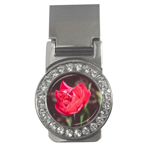 Red flower Money Clip (CZ) from ArtsNow.com Front