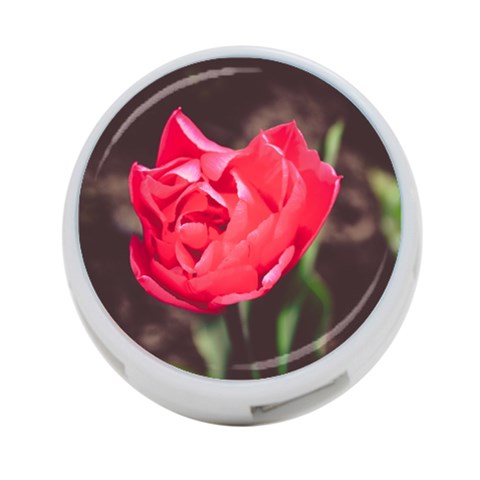 Red flower 4 Front