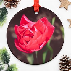 Red flower Round Ornament (Two Sides) from ArtsNow.com Front