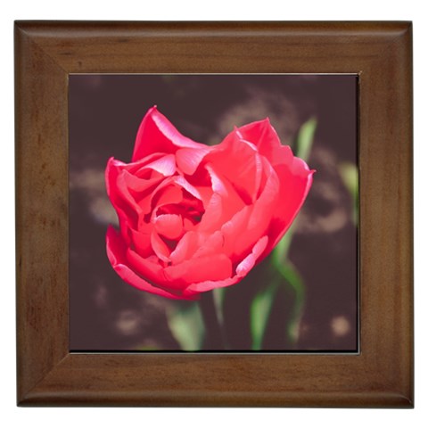 Red flower Framed Tile from ArtsNow.com Front
