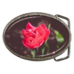 Red flower Belt Buckle