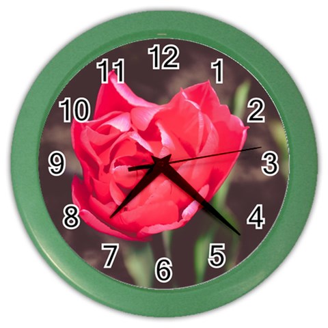 Red flower Color Wall Clock from ArtsNow.com Front