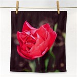 Red flower Face Towel