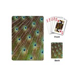 Peacock Feathers 2 Playing Cards (Mini)