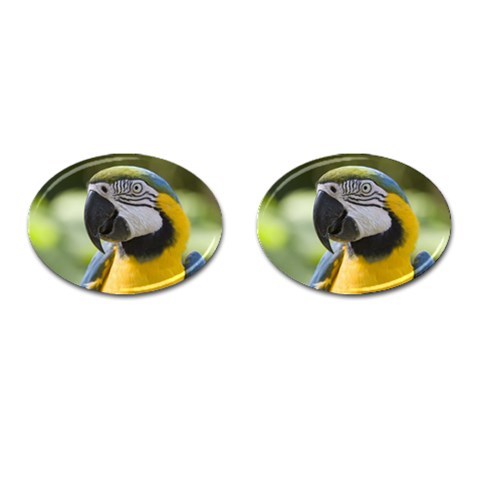 Parrot Cufflinks (Oval) from ArtsNow.com Front(Pair)