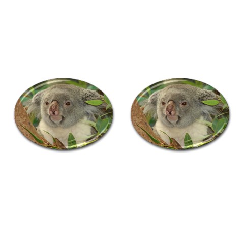 Koala Bear Cufflinks (Oval) from ArtsNow.com Front(Pair)