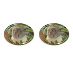 Koala Bear Cufflinks (Oval)