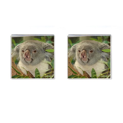 Koala Bear Cufflinks (Square) from ArtsNow.com Front(Pair)