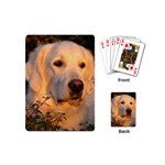 Golden Retriever Playing Cards (Mini)