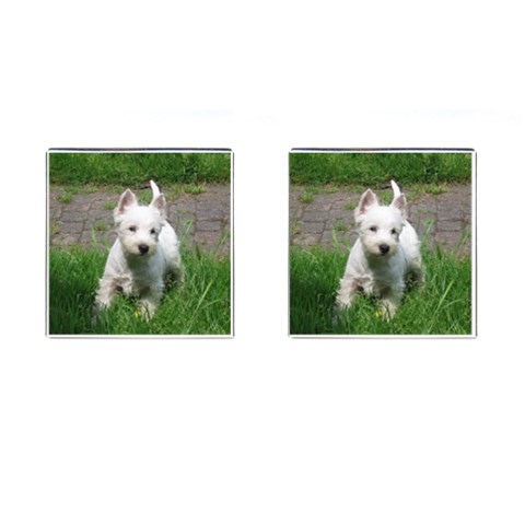 Westie Terrier Dog Cufflinks (Square) from ArtsNow.com Front(Pair)
