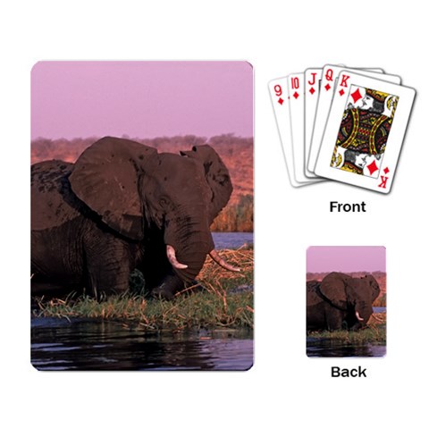 Elephant Playing Cards Single Design from ArtsNow.com Back