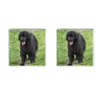 Newfoundland Dog Cufflinks (Square)