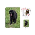 Newfoundland Dog Playing Cards (Mini)