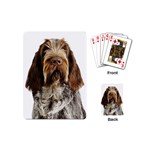 Spinone Italiano Dog Playing Cards (Mini)