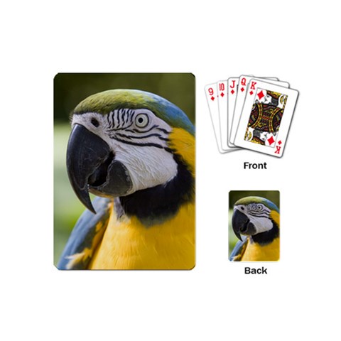 Parrot Playing Cards (Mini) from ArtsNow.com Back