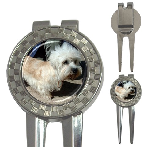 Dandie Dinmont Terrier Dog 3 Front