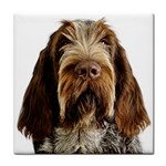 Spinone Italiano Dog Tile Coaster