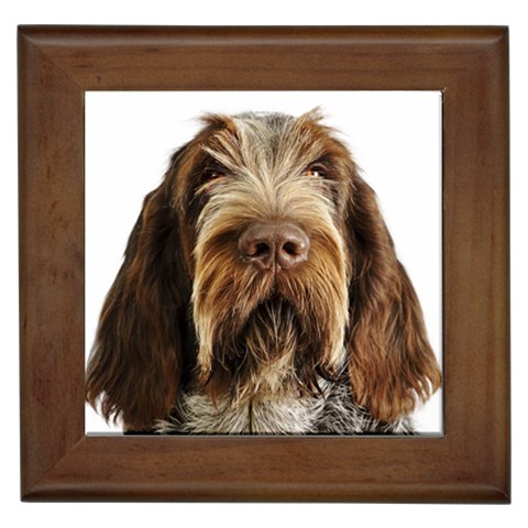 Spinone Italiano Dog Framed Tile from ArtsNow.com Front