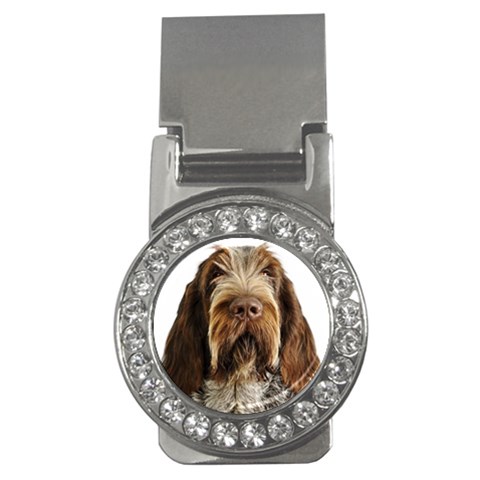 Spinone Italiano Dog Money Clip (CZ) from ArtsNow.com Front