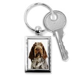 Spinone Italiano Dog Key Chain (Rectangle)