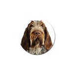 Spinone Italiano Dog Golf Ball Marker