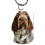 Spinone Italiano Dog Dog Tag (Two Sides)