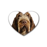 Spinone Italiano Dog Heart Coaster (4 pack)