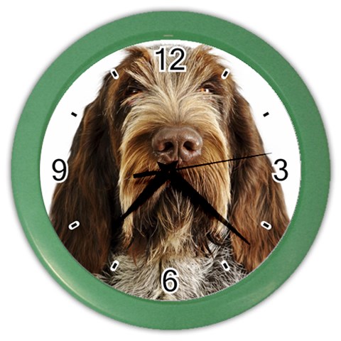 Spinone Italiano Dog Color Wall Clock from ArtsNow.com Front