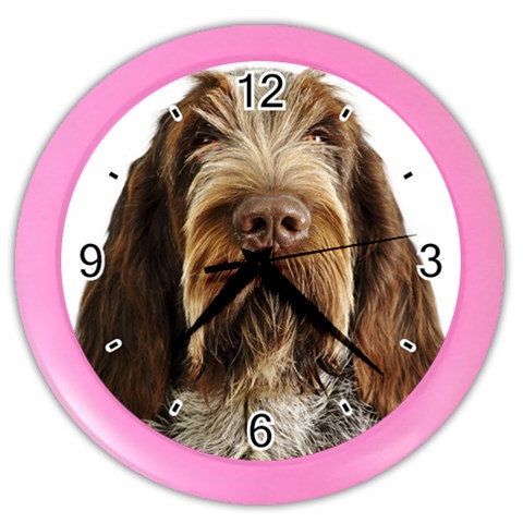 Spinone Italiano Dog Color Wall Clock from ArtsNow.com Front
