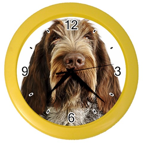 Spinone Italiano Dog Color Wall Clock from ArtsNow.com Front