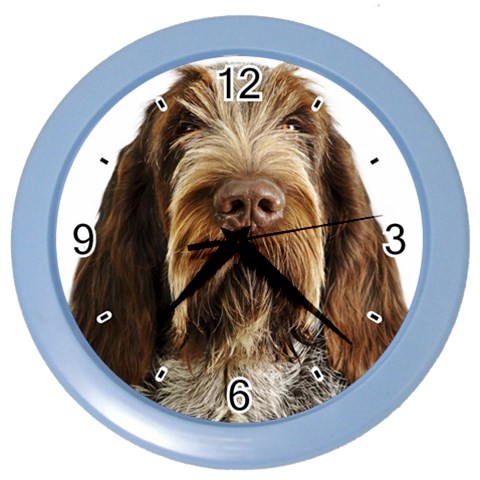 Spinone Italiano Dog Color Wall Clock from ArtsNow.com Front
