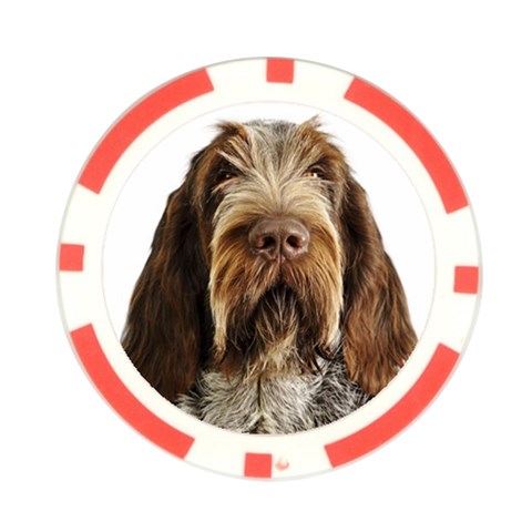 Spinone Italiano Dog Poker Chip Card Guard (10 pack) from ArtsNow.com Front